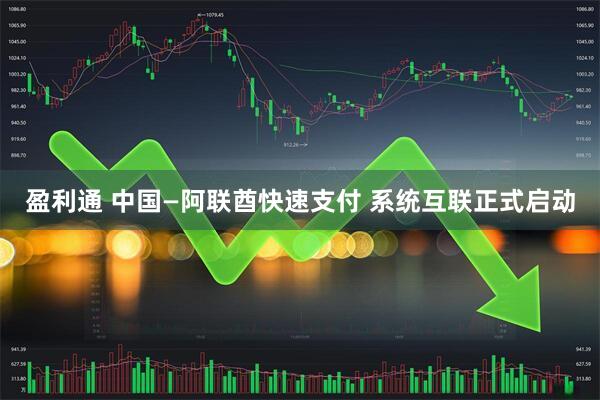 盈利通 中国—阿联酋快速支付 系统互联正式启动